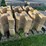 #3186-•-pallet-of-concrete-retaining-wall-blocks-image-4
