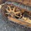 caterpillar-thirty-image-7