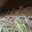 loftness-240sh-image-9