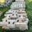 #3205-•-(2)-pallets-of-interlocking-concrete-retaining-wall-blocks-image-2