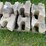 #3200-•-pallet-of-interlocking-concrete-retaining-wall-blocks-image-4