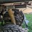 #4073-•-light-utility-vehicle-image-9