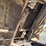 2011-freightliner-m2-106-image-33