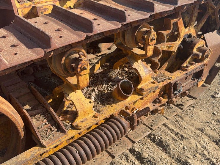 caterpillar-thirty-image-7