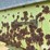 dmi-866-image-12