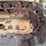 2021-caterpillar-d3-lgp-image-35