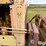1948-caterpillar-d4-image-19