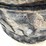 case-430-image-9
