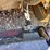 caterpillar-299d3-xe-image-27