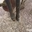 john-deere-a1450-image-10