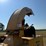 2015-vermeer-bc1000-image-14