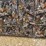 #1280-•-6'-x-6'-deer-blind-image-24