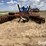 krause-4950-image-4