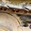 caterpillar-d4d-image-30