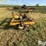 landoll-3311-image-9