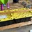 #42072-•-unused-splash-pads-image-13