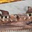 2018-vermeer-rtx450-image-23