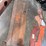 allis-chalmers-d19-image-15