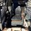 bobcat-763-image-41