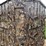 #1280-•-6'-x-6'-deer-blind-image-31