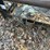 #10583-•-t/a-utility-trailer-inv#10583-image-11