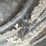 #113-•-2010-stealth-enterprise-20'-enclosed-trailer-(has-wi-title)-image-92