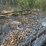 #10583-•-t/a-utility-trailer-inv#10583-image-9