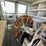 #2753-•-2000-dodge-ram-(title-in-delay)-image-65