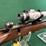 kimber-mdl.82-22-wmr-rifle-image-7