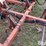 krause-3900-image-16