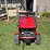 international-cub-image-2