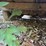 #10583-•-t/a-utility-trailer-inv#10583-image-22