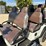 new-6-seater-electric-golf-cart-image-4