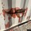#1004-•-20'-storage-container-(offsite-in-las-cruces,-nm)-image-13