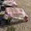 new-in-crate-sd-lanch-rc-lawn-mower-image-2