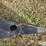john-deere-e0900-image-18