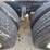 2006-freightliner-columbia-120-image-87