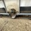 #3042-•-caged-poly-water-totes-image-6