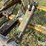 landoll-3311-image-10