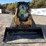 caterpillar-299d-image-7
