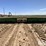 1990-john-deere-1243-image-6
