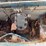 sturtevant-miniature-train-model-g12-image-21