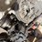 allis-chalmers-d-image-15