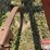 case-ih-4800-image-15
