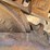 caterpillar-d7h-lgp-image-47