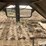 1980-merritt-grain-trailer-image-12