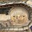 caterpillar-d4d-image-25