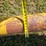 mayrath-55'x8"-unloading-auger-image-12