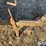 john-deere-l-image-13