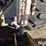 bobcat-310-image-18